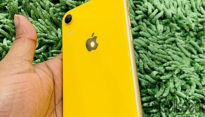 i phone xr