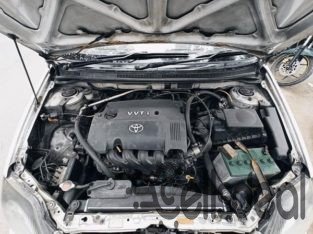 Toyota x fielder