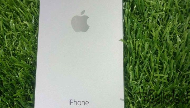 iphone 5s
