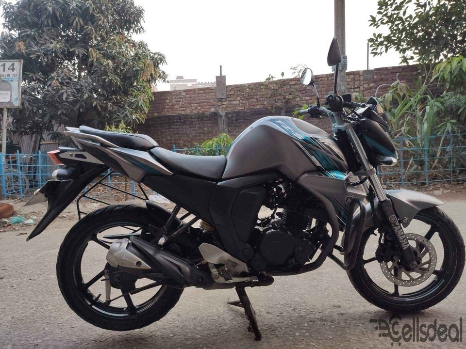 Fz fi 2017
