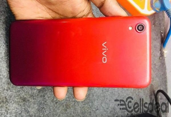 Vivo Y91C