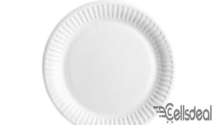 One Time Plastic Plate – 100 pcs