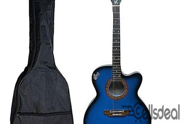 Signature New Accoustic Guitar With Electric