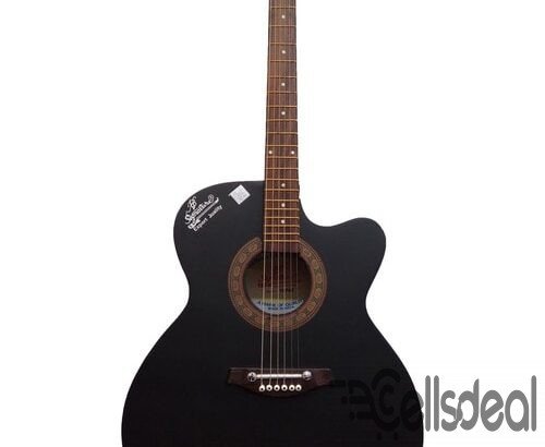 Signature New Accoustic Guitar With Electric