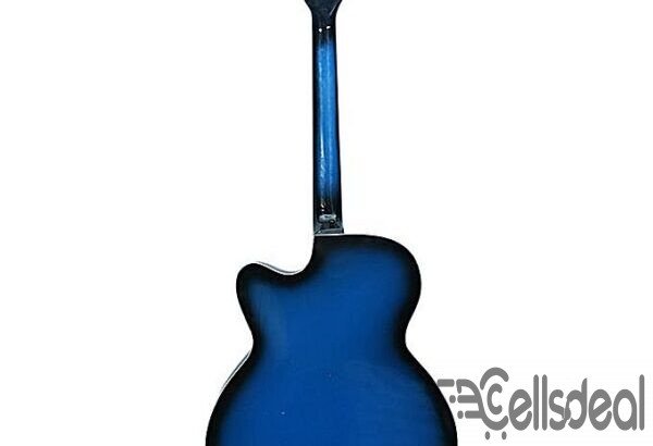 Signature New Accoustic Guitar With Electric