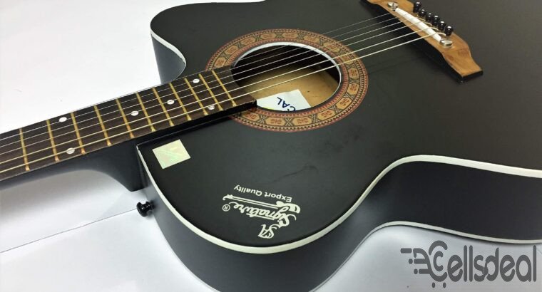 Signature New Accoustic Guitar With Electric