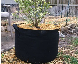 Geo Pot- Fabric Gardening Pot with Handl