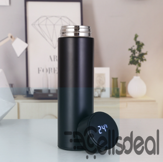 Stainless Steel Smart Water Bottle Temperature Di