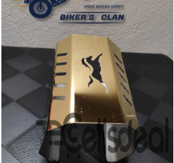 Apache RTR 4V Silencer Cover / Chori