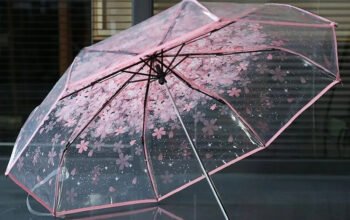 TRANSPARENT CHEERY DESING 3 FOLDING CLEAR UMBRELLA