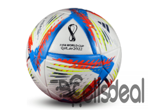 Qatar 2022 World Cup Football – World Cup Official