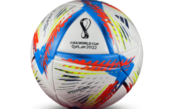 Qatar 2022 World Cup Football – World Cup Official