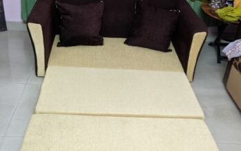 Durable Foam with Cushion Sofa Cum Bed TR-S65